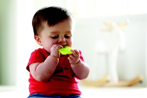 Munchkin Chewy Teether - Munchkin