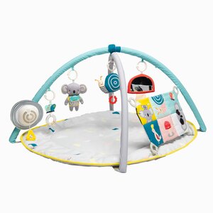 Taf Toys All around me gym - Done by Deer