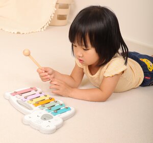 PolarB Xylophone - PolarB