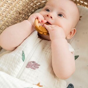 Done by Deer silicone teether 2-pack, Deer Friends  - Liewood