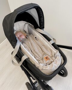 Easygrow Favn Babynest/cot Black - Doomoo
