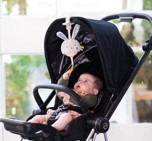 Taf Toys музыкальная игрушка Garden Stroller Bunny - Done by Deer