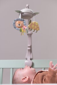 Taf Toys музыкальная карусель Savannah - Taf Toys