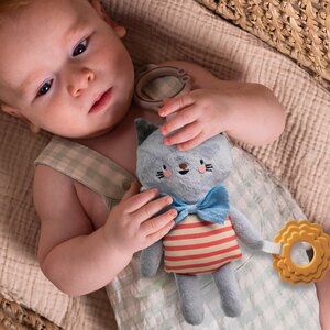 Taf Toys развивающая игрушка Clara - Taf Toys