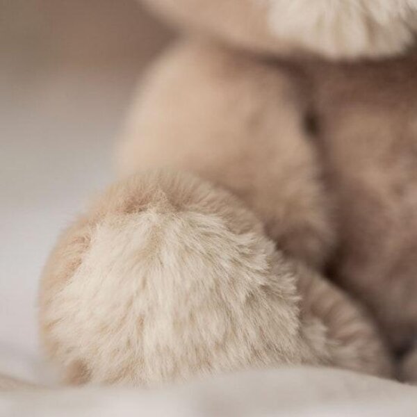 Teddykompaniet soft toy bear Teddy 34cm, mocca beige - Teddykompaniet