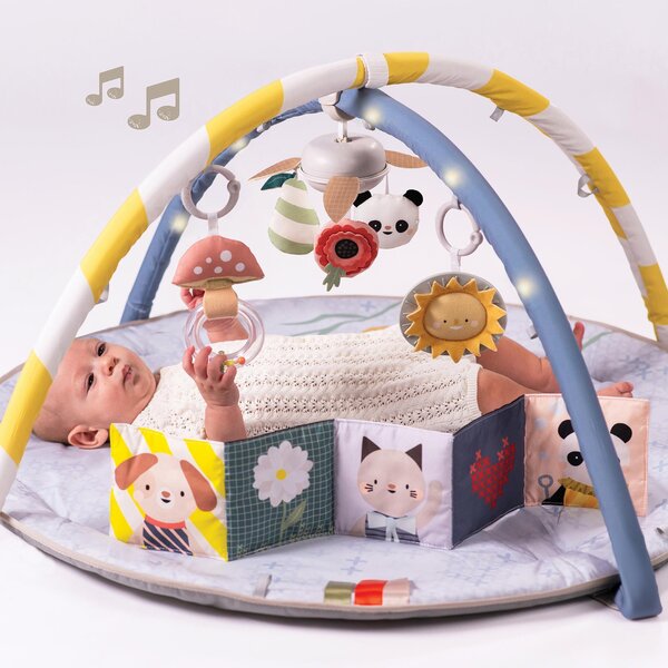 Taf Toys Melody Bloom Gym - Taf Toys