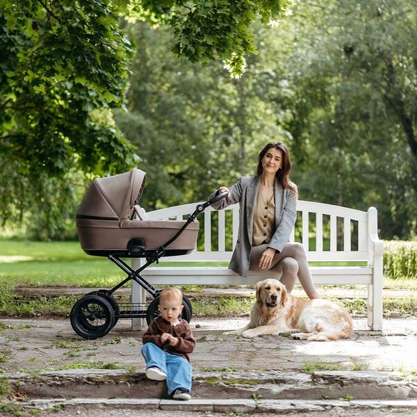 Tinynord Active stroller set Praline Beige, Bronze Black - Tinynord