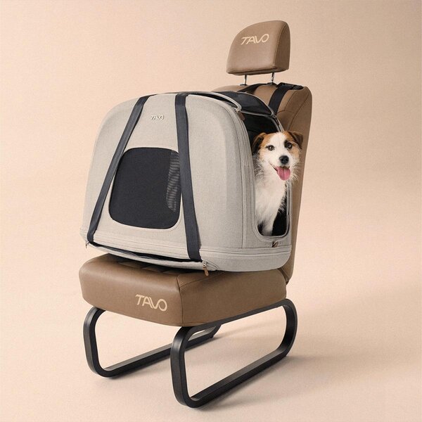 Tavo Pet Protection System Crispin M, Merle - Tavo