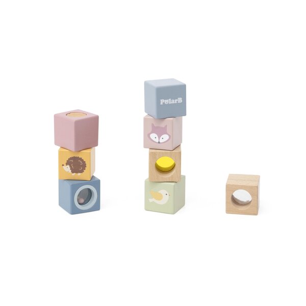 PolarB Sensory Blocks - PolarB
